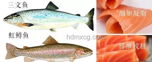 三文鱼寄生虫风险与食用趋势预测：安全食用，未来可期